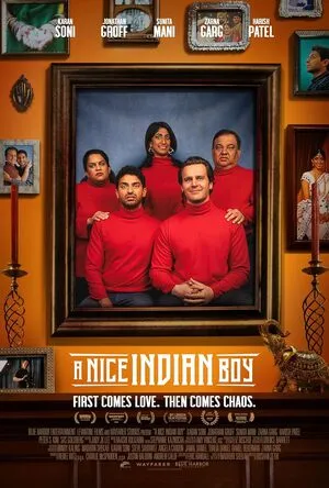 A Nice Indian Boy 2025 Hindi Dual Audio Movie Poster