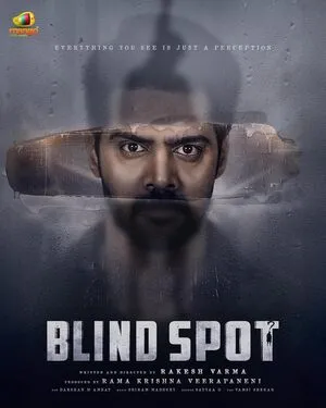 Blind Spot 2025 Hindi Dual Audio Movie Poster
