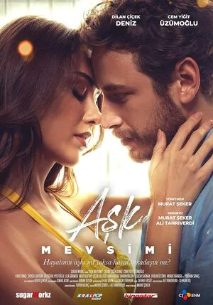 Season Of Love 2024 Hindi Dual Audio Movie Poster