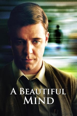 A Beautiful Mind 2001 Hindi Dual Audio 450MB Movie Poster