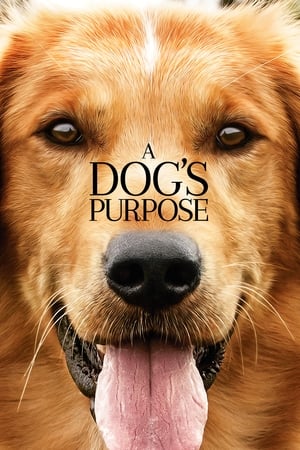 A Dog's Purpose (2017) Full Movie 850MB Movie Poster