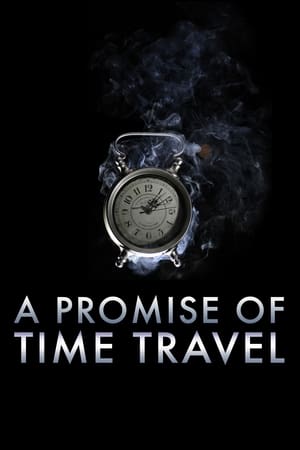 A Promise of Time Travel 2016 Hindi Dual Audio 300MB Movie Poster