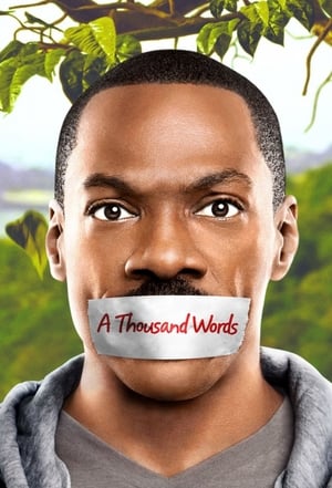 A Thousand Words (2012) Hindi Dual Audio 300MB Movie Poster