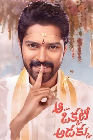 Aa Okkati Adakku 2024 Telugu Movie Poster