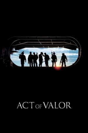 Act of Valor (2012) Hindi Dual Audio 390MB Movie Poster