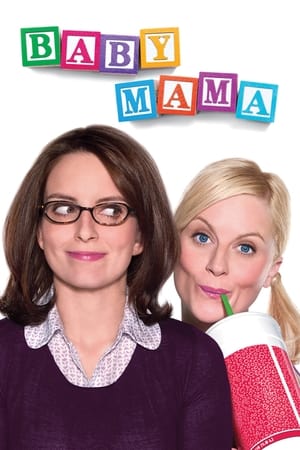 Baby Mama (2008) Hindi Dual Audio [900MB] Movie Poster