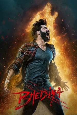 Bhediya 2022 Hindi Movie – Movie Poster