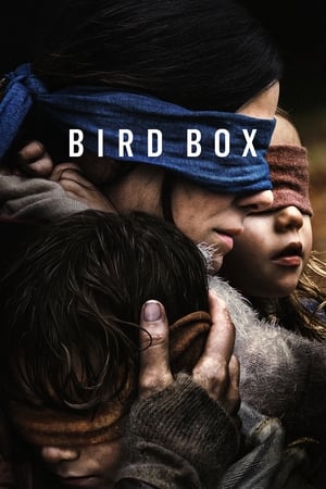 Bird Box 2018 Hindi (HQ DUBBED) Dual Audio WehRip [1.1GB] Movie Poster