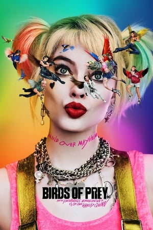 Birds of Prey (2020) Hindi (ORG) Dual Audio 450MB Movie Poster
