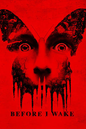 Before I Wake (2016) Hindi Dubbed [900MB] Movie Poster