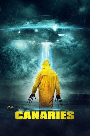 Canaries (2017) Hindi Dual Audio 300MB Movie Poster