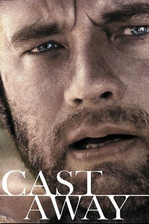 Cast Away 2000 Hindi Dual Audio [1GB] ESubs Movie Poster