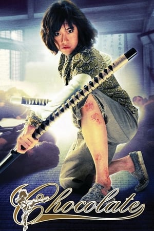 Chocolate (2008) Hindi Dual Audio 300MB Movie Poster