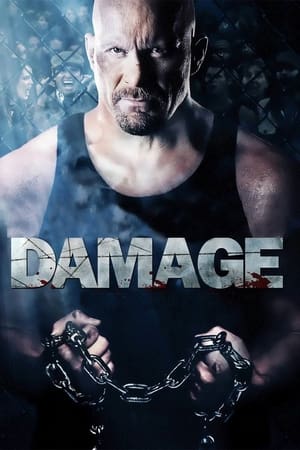 Damage 2009 Hindi Dual Audio [970MB] Movie Poster