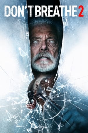 Don’t Breathe 2 (2021) Hindi Dual Audio 400MB Movie Poster