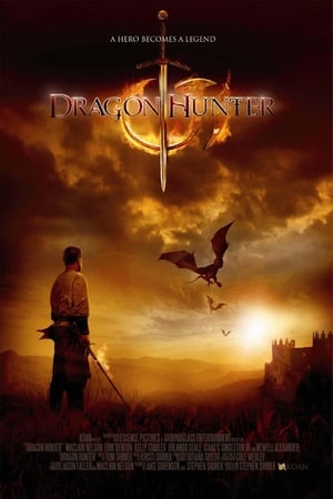 Dragon Hunter (2009) Hindi Dual Audio 300MB Movie Poster
