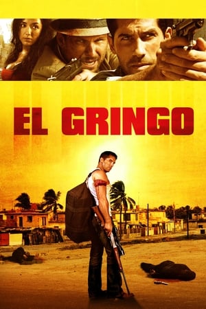 El Gringo (2012) Hindi Dual Audio 300MB Movie Poster