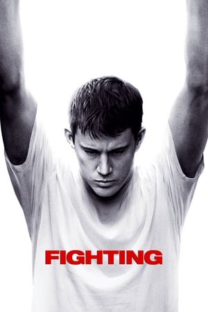 Fighting (2009) Hindi Dual Audio [1.1GB] Movie Poster