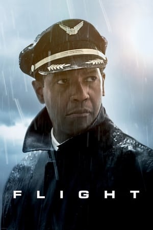 Flight (2012) Hindi Dual Audio 400MB Movie Poster
