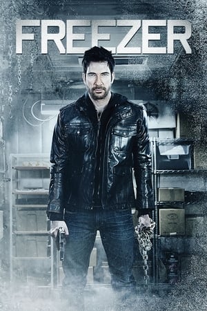 Freezer (2014) Hindi Dual Audio [800MB] Movie Poster