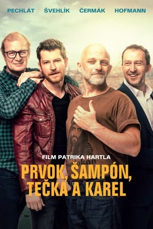 Friendship (2021) Hindi Movie [1GB] Movie Poster