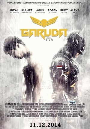 Garuda Superhero (2015) Hindi Dubbed [750MB] Movie Poster