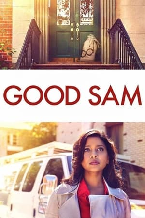 Good Sam 2019 Hindi Dual Audio 300MB Movie Poster