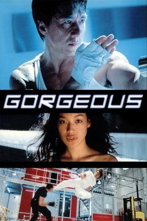 Gorgeous 1999 100mb Hindi Dual Audio movie Download Movie Poster