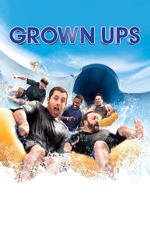 Grown Ups (2010) Hindi Dual Audio [800MB] Movie Poster