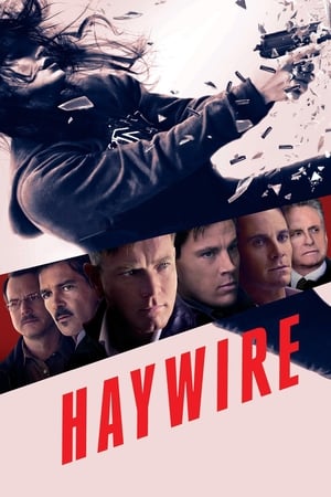 Haywire (2011) Hindi Dual Audio 300MB Movie Poster
