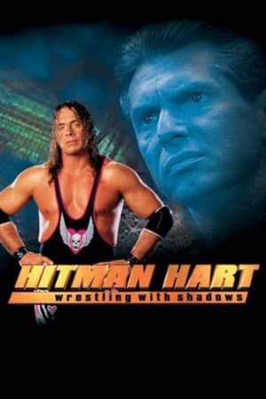 Hitman (1998) Hindi Dual Audio 300MB Movie Poster