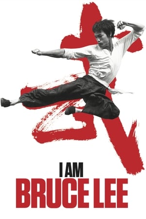 I Am Bruce Lee 2012 Hindi Dual Audio [850MB] Download Movie Poster