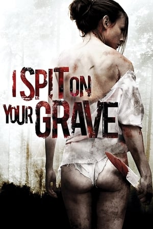 I Spit on Your Grave 2010 Hindi Dual Audio [1.1GB] Movie Poster