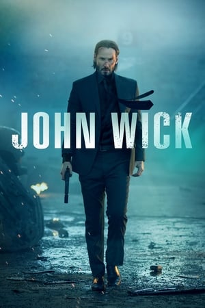 John Wick (2014) Hindi Dual Audio 300MB ESubs Movie Poster