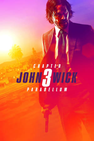 John Wick Chapter 3 Parabellum (2019) Hindi Dubbed [1GB] Movie Poster