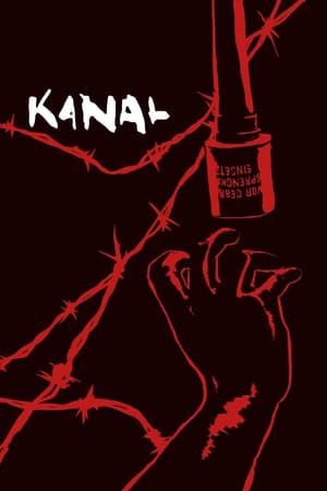 Kanal 2015 Hindi Dual Audio [1.3GB] Movie Poster