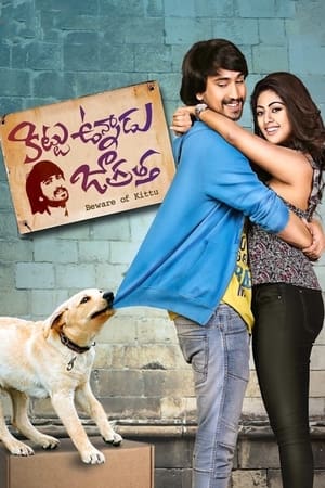 Kittu Unnadu Jagratha 2017 Hindi Dual Audio [1.1GB] Movie Poster