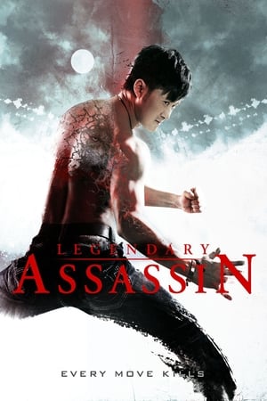 Legendary (2013) Hindi Dual Audio 480MB Movie Poster