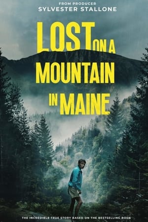 Lost on a Mountain in Maine 2024 Hindi Dubbed Movie Poster