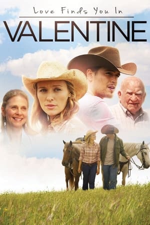 Love Finds You in Valentine (2016) Hindi Dual Audio [800MB] Movie Poster