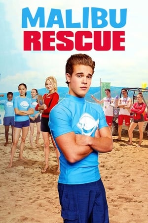 Malibu Rescue (2019) Hindi Dual Audio 650MB Movie Poster