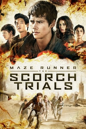 Maze Runner The Scorch Trials (2015) Hindi Dual Audio [1.3GB] Movie Poster