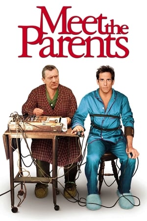 Meet the Parents 2000 Hindi Dual Audio [930MB] Movie Poster