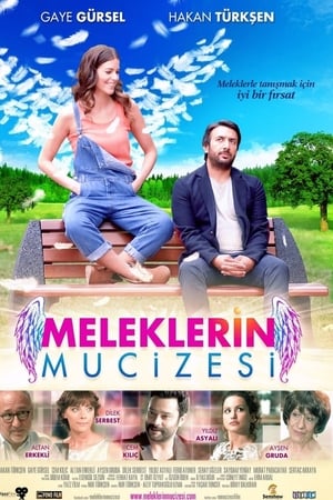 Meleklerin mucizesi (2014) Hindi Dual Audio 280MB Movie Poster