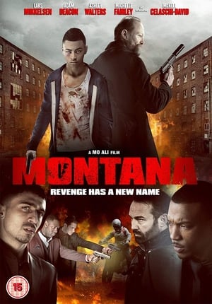Montana (2014) Hindi Dual Audio [900MB] Movie Poster