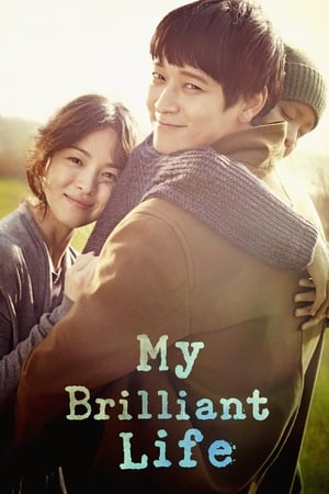 My Brilliant Life (2014) Hindi Dual Audio – 720p – Movie Poster