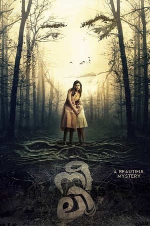 Neeli (2018) (Hindi – Malayalam) Dual Audio 400MB Movie Poster