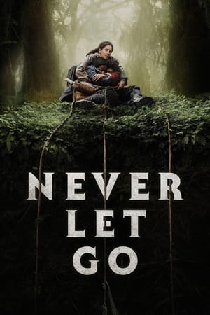Never Let Go 2024 Hindi Dual Audio – 720p – Movie Poster