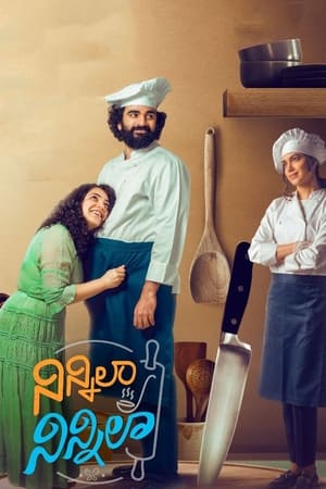 Ninnila Ninnila (2021) Hindi Movie [1GB] Movie Poster