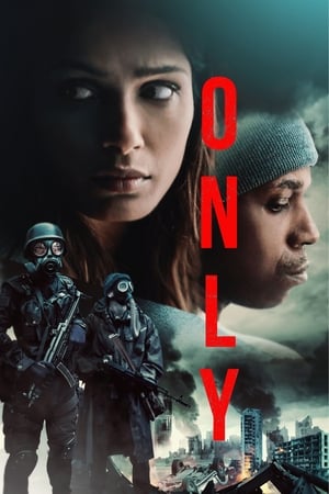Only 2019 Hindi Dual Audio [900MB] Movie Poster